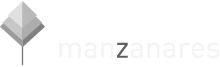 light logo